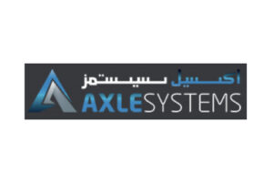 SEO Case Study - Axsle System