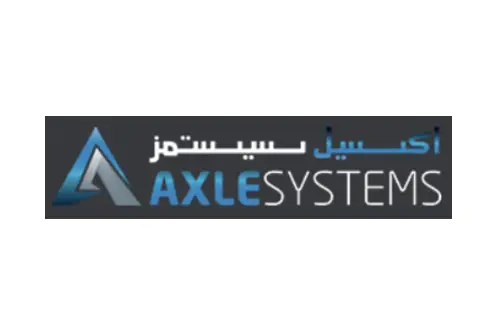 SEO Case Study - Axsle System