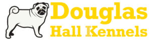 SEO Case Studies - Douglashallkennels