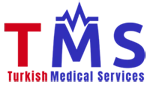 SEO Case Study - Turkish Medical Services